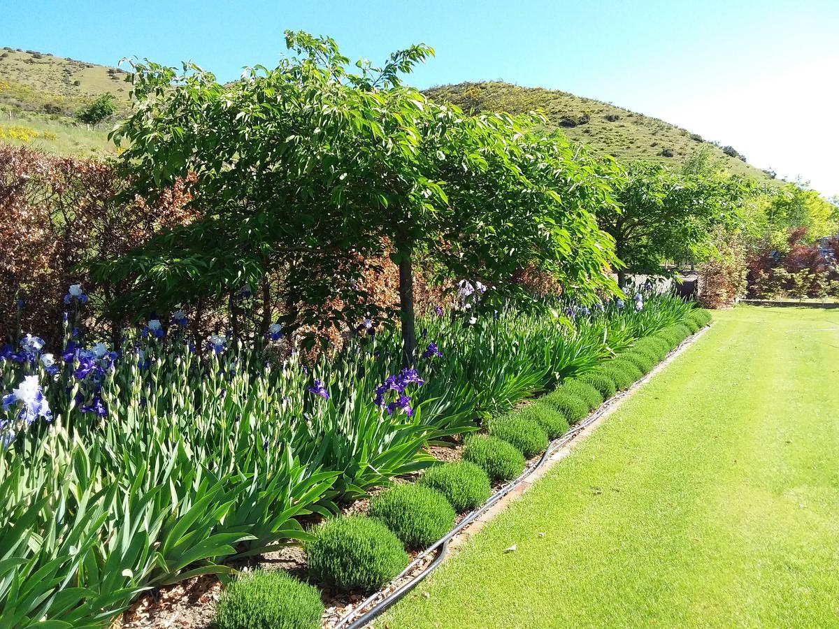 Hurunui Homestead Bed And Breakfast Hawarden Exterior photo